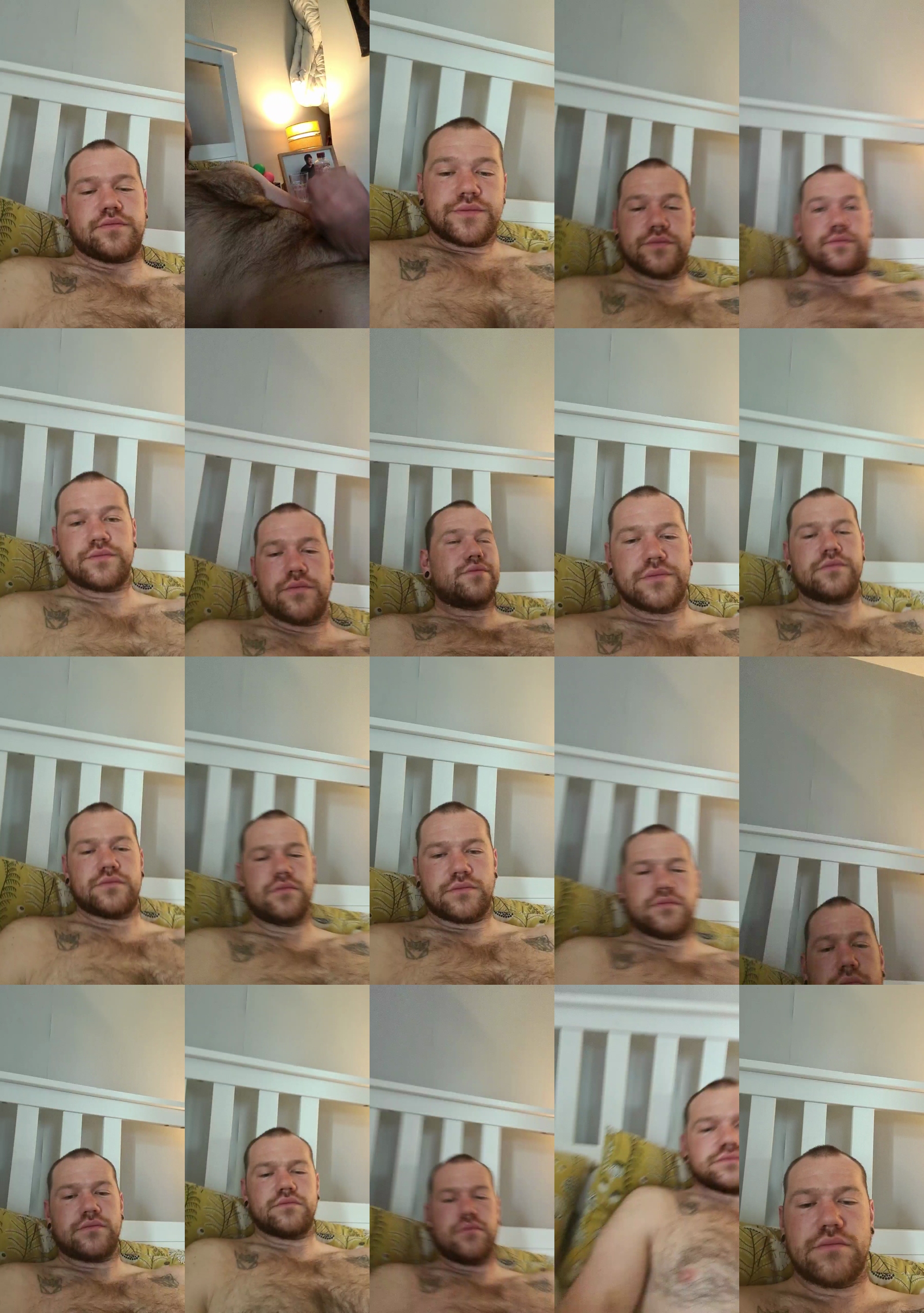 Thatchippy  02-04-2022